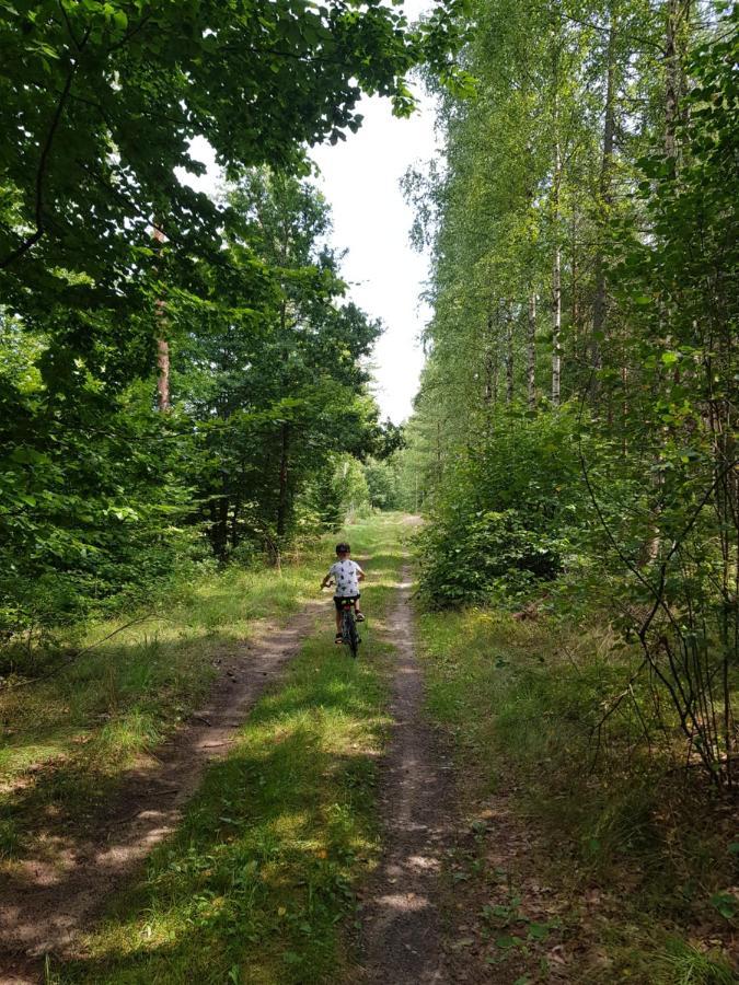 Lap Las Pelnik Экстерьер фото