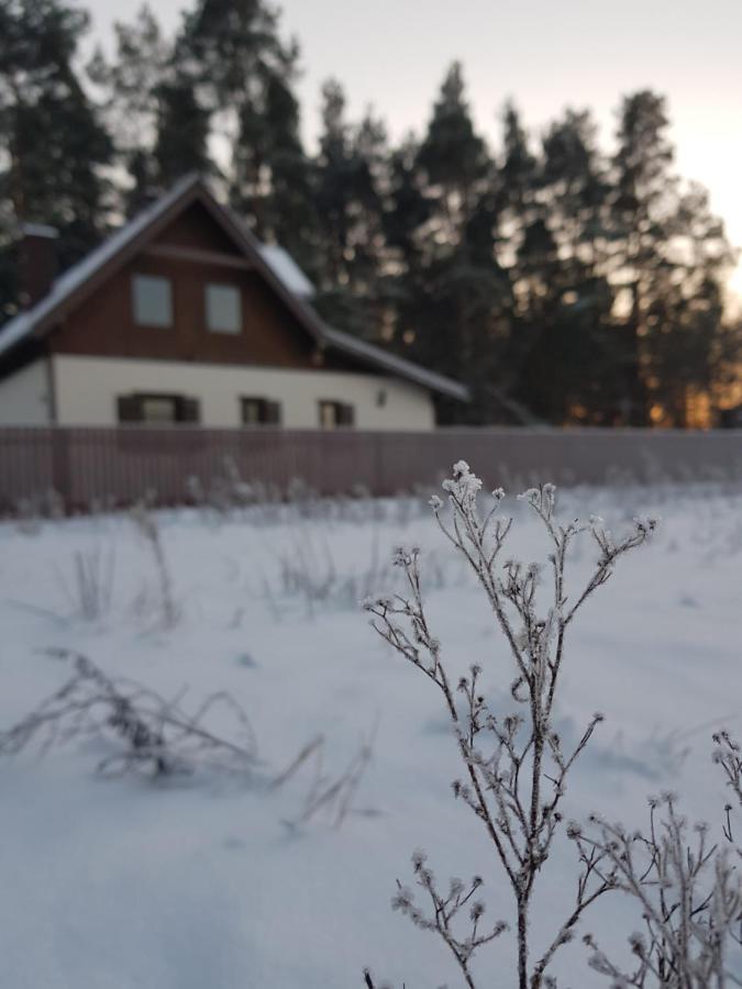 Lap Las Pelnik Экстерьер фото