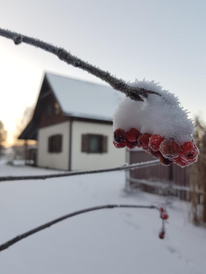 Lap Las Pelnik Экстерьер фото